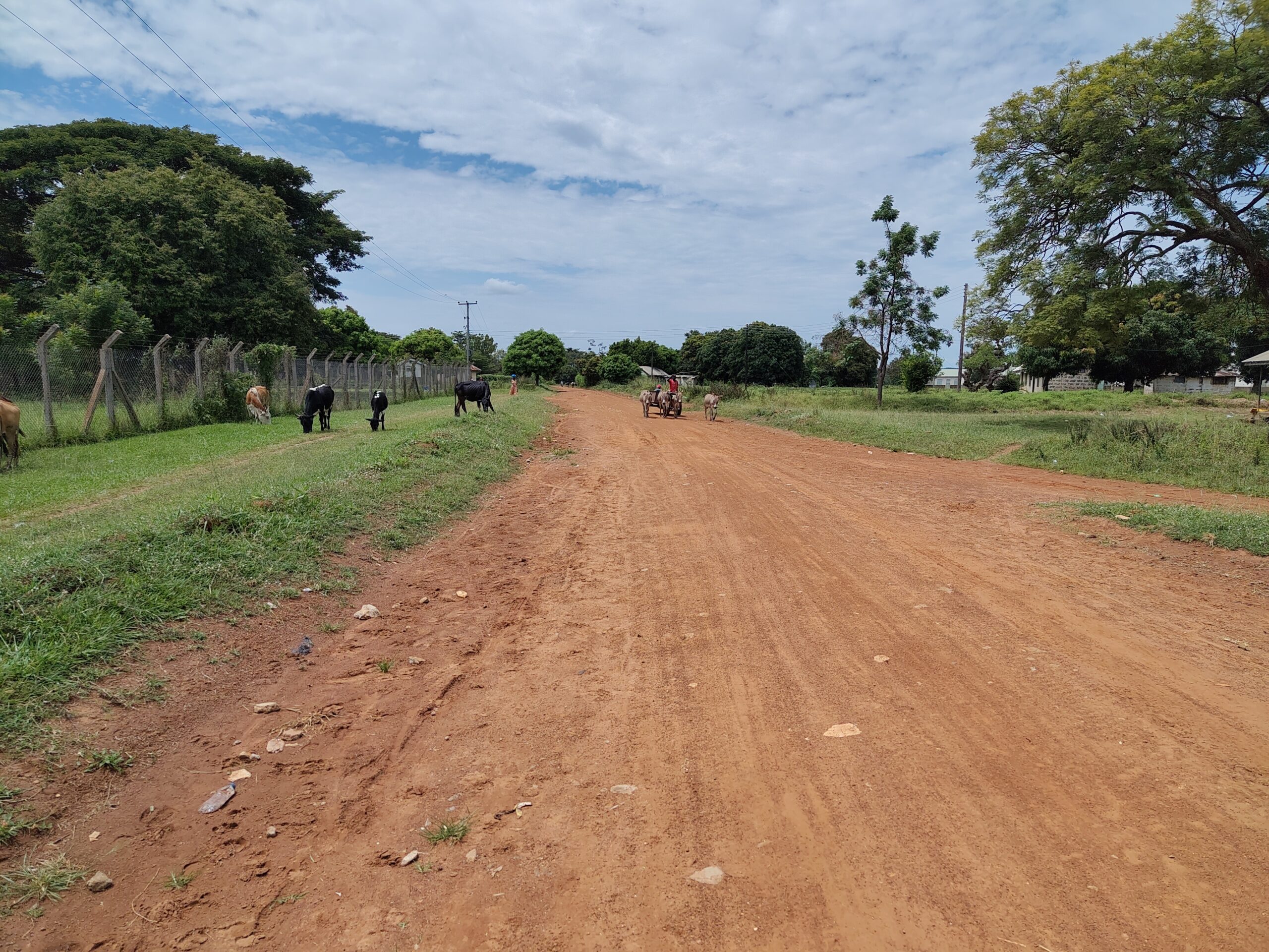 IMG 20251004 112335407 HDR Scaled