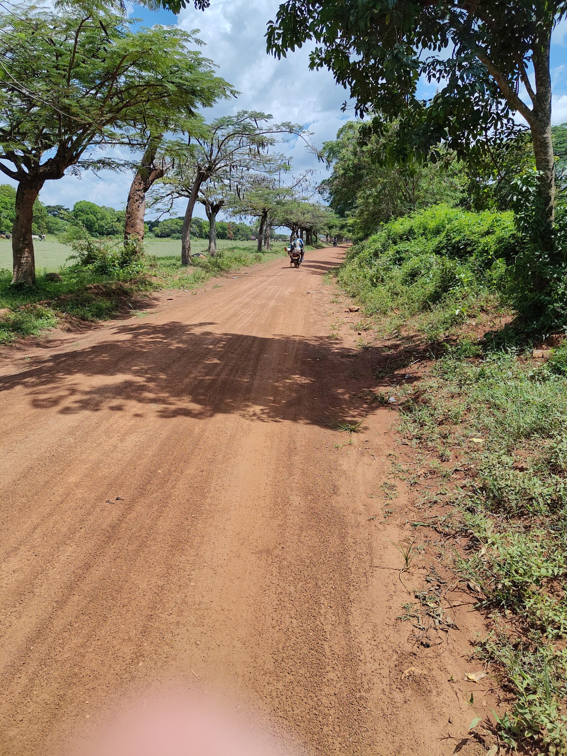 IMG 20251009 134531880 HDR Scaled