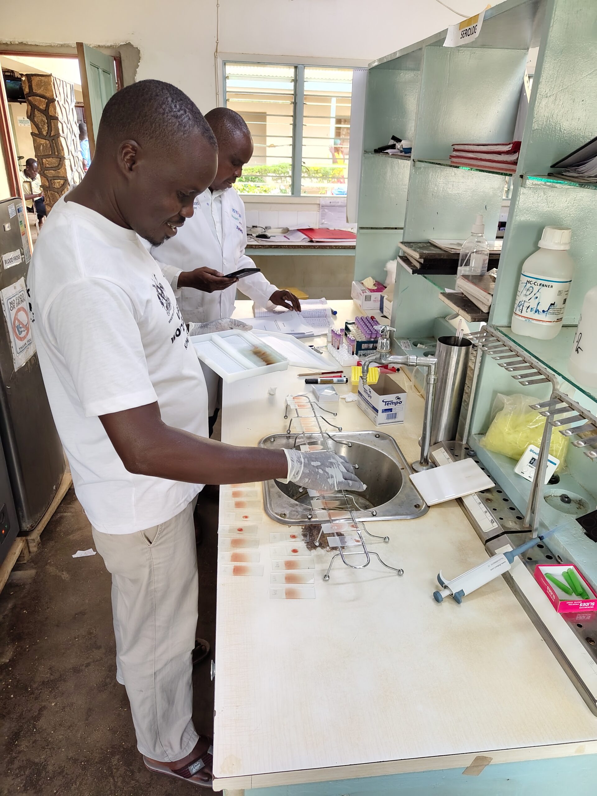 IMG 20251117 173634798 HDR Scaled