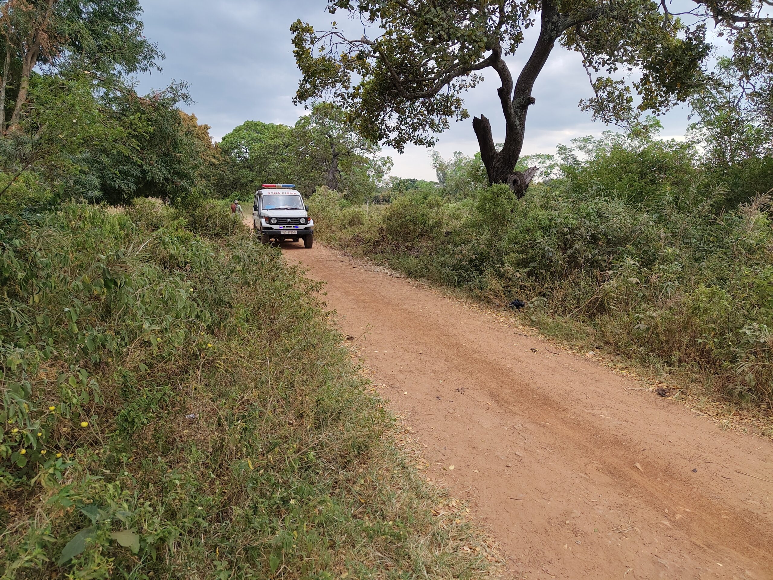 IMG 20251130 164416485 HDR Scaled